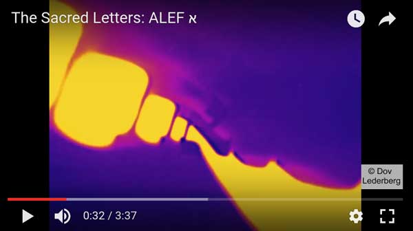 alef video